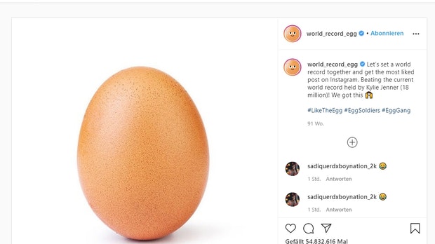 Ein braunes Ei und nichts weiter.