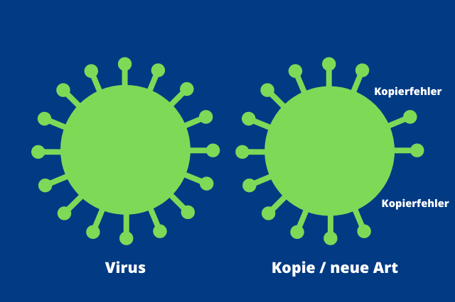 Grafik mit zwei Viren mit Spikes. Links ist das Originalvirus und rechts die Kopie, die Mutation. Die Mutation hat Fehler, sie hat weniger Spikes.